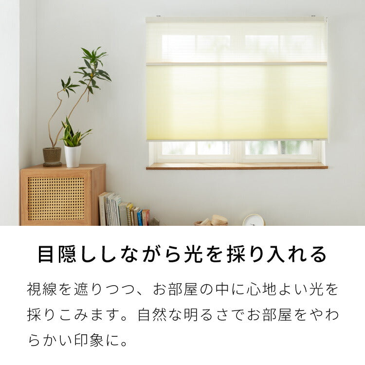 【TOSO】3年保証 ハニカムシェード 1cm単位のオーダー対応 ツインワンチェーンタイプ 防炎 ハニカム 遮光 採光 オーダーロールスクリーン 日本製 トーソー カーテンレール取り付け可 断熱 保温 和室 窓(代引不可)