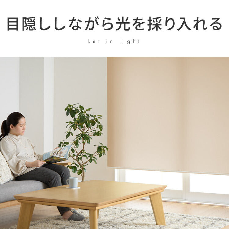 【TOSO】ロールスクリーン オーダー 1cm単位オーダー対応 採光 ウォッシャブル 日本製 カーテンレール 取り付け 簡単 天井付け 正面付け 洗える 間仕切り 目隠し プライバシー トーソー ロールカーテン(代引不可)