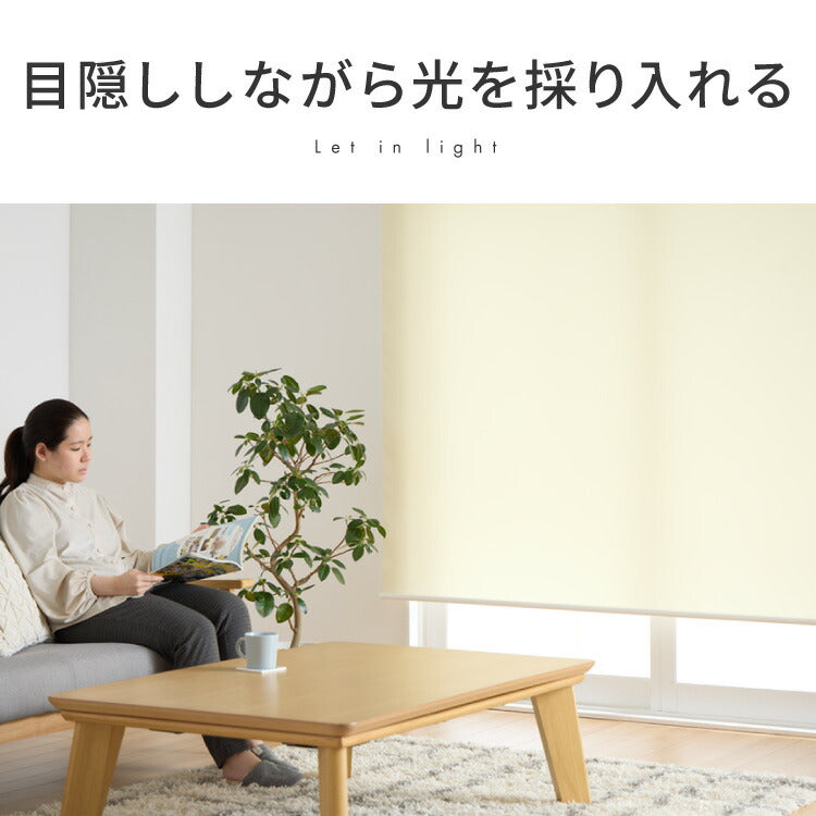 【TOSO】ロールスクリーン オーダー 1cm単位オーダー対応 採光 日本製 カーテンレール 取り付け 天井付け 正面付け 簡単 間仕切り プライバシー 目隠し トーソー ロールカーテン チェーン式 スプリング式(代引不可)