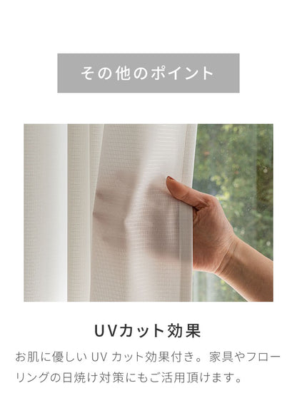 レースカーテン 柄 モンステラ プリント 見えにくい 40サイズ UVカット 遮像 断熱 保温 ウォッシャブル カーテン 省エネ 一人暮らし 新生活 幅100 幅200 ボタニカル 植物