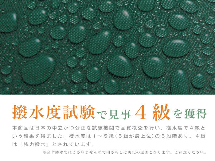 日よけ 竿付オーニング2 幅3m シェード オーニング 日よけスクリーン つっぱり式 雨よけ ガーデニング エクステリア(代引不可)