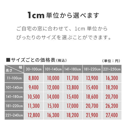 アルミブラインド オーダー 1cm単位オーダー対応 遮熱 光触媒 お手入れ楽々 掃除 簡単 省エネ 消臭 抗菌 日本製 ブラインド 取り付け 簡単 オーダーブラインド TOSO トーソー 新生活(代引不可)